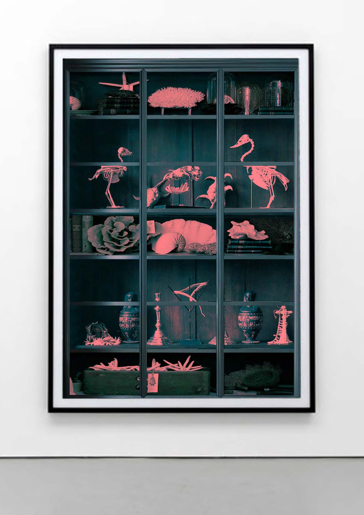 Tim-White-Sobieski-History-of-Universe-Cabinets-Of-Curiosities