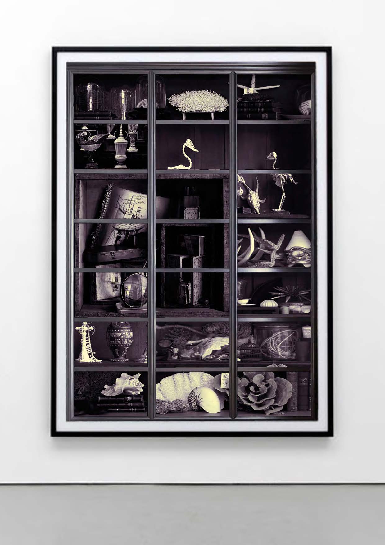 Tim-White-Sobieski-History-of-Universe-Cabinets-Of-Curiosities