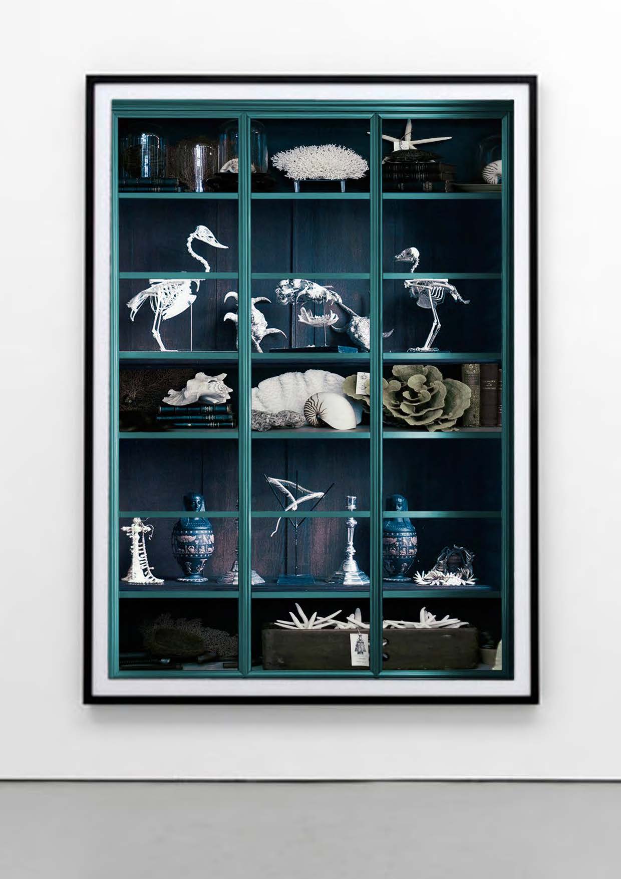 Tim-White-Sobieski-History-of-Universe-Cabinets-Of-Curiosities